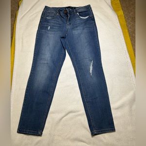 1822 Denim Adrianna Skinny Jeans